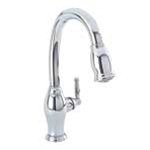Newport Brass 94P/08A Pull-Down Kitchen Faucet Traditional Style in Antique Copper