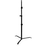 Matthews Back Light Stand, Supports 22 lbs, Maximum Height 19, Black.