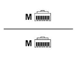 341-004 Cable (7 Feet, RJ45 to RJ45, CAT5 Shielded, PB Free)