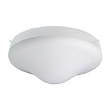 1649-15 - SeaGull Lighting Ceiling Fan Light Kit