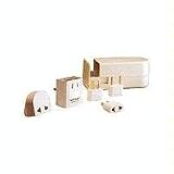 Travel-lite Super Power Polarized 1600 Watt International Electricity Converter/adapter Set