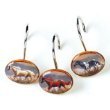 Band of Thunder Shower Curtain Hooks