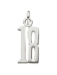 Rembrandt Charms Number 18 Charm
