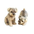 image link - - B002QA3UK4
