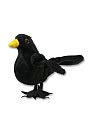 Buy RSPB Blackbird Finger Puppet online at Discounted New and Used prices. Delivered to your door with Childrens Toyshop.com