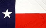 Texas Nylon 3x5 Flag