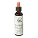 Honeysuckle Flower Essence - 20 ml., (Bach Flower Essence)