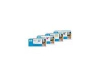 HP Fuser Kit 220V for ColorLaserJet CP5525 150k pages Preisvergleich