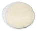 Westward 1VUC8 Polishing Pad, 10 In, PK 2