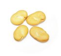 HABAS ( PEELED FAVA ), 25 lbs.
