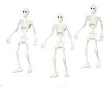 Dollhouse Miniature Set of 3 White Jointed Skeletons