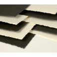 Elato Scrapbook Paper ebony-ivory