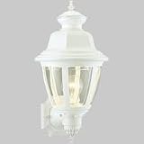 Progress Lighting White One-Light Clear Beveled Acrylic Outdoor Wall Lantern