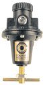 Heavy Duty Series Regulators Model No. 8804G, Pipe Size: 1/2