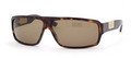 Gucci Sunglasses GG 1561 S 086 X7 Dark Havana w Brown Tint Lenses by
