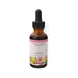Eclectic Institute - Witch Hazel, 1 oz liquid