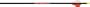 6 - Pk. Carbon Express Maxima Arrows w/ Blazer Vanes
