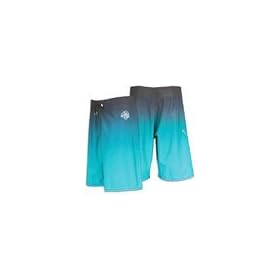 Element Skateboards Dippers Revenge Men's Surfing Boardshorts in Turquoise