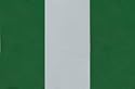 Mens NIGERIA FLAG Punk Rock Metal Belt Buckle