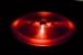 Black Jax Sports: Red Light POD Disc Golf / Ultimate Disc Light
