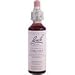 Bach Chicory (1 x 20 ML)