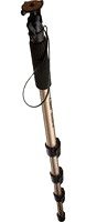 Canon Monopod 100 for SLR Cameras & Lenses