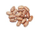 RATTLESNAKE BEANS, 25 lb Bag