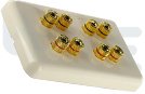 Atlona High-Quality Wall Plate For 4 Speakers, Audio and Video, Electronics and Computers