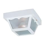 7567-15 - SeaGull Lighting Single-Light Outdoor Ceiling Fixture