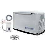 Centurion by Generac Power Systems 16,000 Watt Aluminum Air-Cooled Standby Generator with 100 Amp Transfer Switch