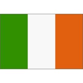 Ireland Flag Polyester 2 ft. x 3 ft.
