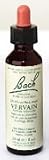Bach Flower Essence - Vervain