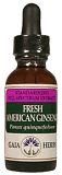 American Ginseng Root Extract - 1 oz. - Liquid