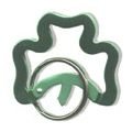 Shamrock Key Chain Ring