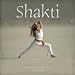 Shakti Calendar 2009: The Feminine Power of Yoga (11-3/4 X 11-3/4)