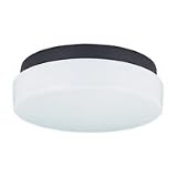 7926BLE-68 - SeaGull Lighting Two-Light Outdoor Fluorescent