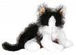 Webkinz Black and White Cat with Trading Cards