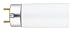 GE 26668 F32T8/SP41/ECO Straight T8 Fluorescent Tube Light Bulb