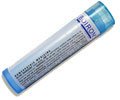 BOIRON USA - Taraxacum Officinale 30c