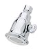 Tools & Hardware : Price Pfister Chrome Bell Adjustable Spray Shower Head