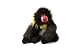 Zoobie Bobo the Baboon Blanket, Pet & Pillow All in One