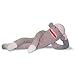 Really Big Sock Monkey