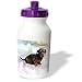 dachshund35 - Dogs Dachshund Miniature Dachshund Water Bottles