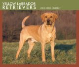 Labrador Retrievers, Yellow 2008 Boxed