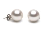 Pair of 13.0-14.0 mm, White South Sea Pearl Stud Earrings