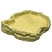 Pet Supplies : Feeding Dish - X-large - 11 in. x 8 in. x 1 in.
