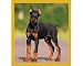 Doberman Puppy Bookmark