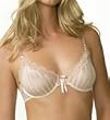 Elle MacPherson Intimates Sheer Ribbons Underwire Bra