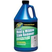mold removal