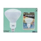 Feit Electric ESL18R40T 18-Watt Compact Fluorescent R40 Reflector Bulb (75-Watt Incandescent Equivalent)